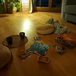 4 Zywioly - Caloroczne Jurty W Gorach - Dostep Do Sauny Stronie Śląskie