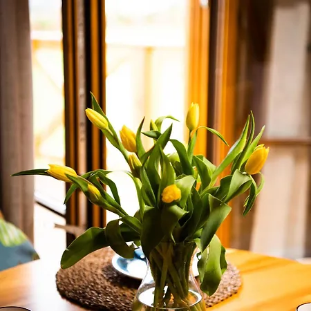 Luxusní stan 4 Zywioly - Caloroczne Jurty W Gorach - Dostep Do Sauny Stronie Śląskie