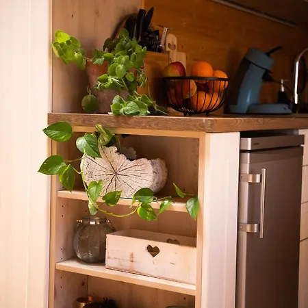 4 Zywioly - Caloroczne Jurty W Gorach - Dostep Do Sauny