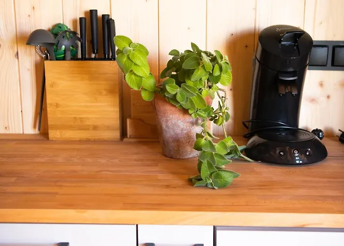 4 Zywioly - Caloroczne Jurty W Gorach - Dostep Do Sauny