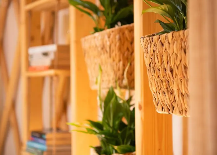 Glamping 4 Zywioly - Caloroczne Jurty W Gorach - Dostep Do Sauny Stronie Śląskie