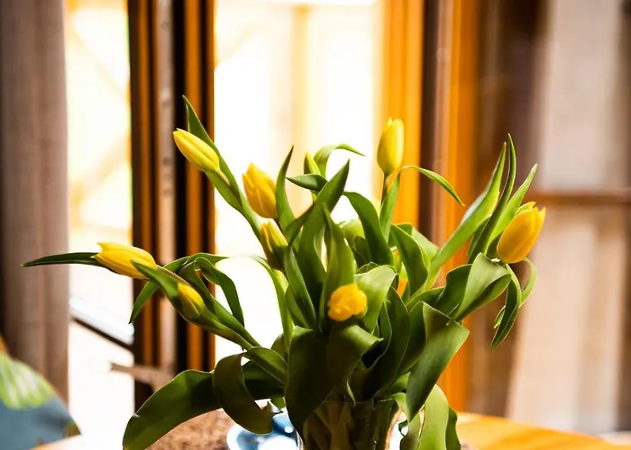 Luxuszelt 4 Zywioly - Caloroczne Jurty W Gorach - Dostep Do Sauny Stronie Śląskie